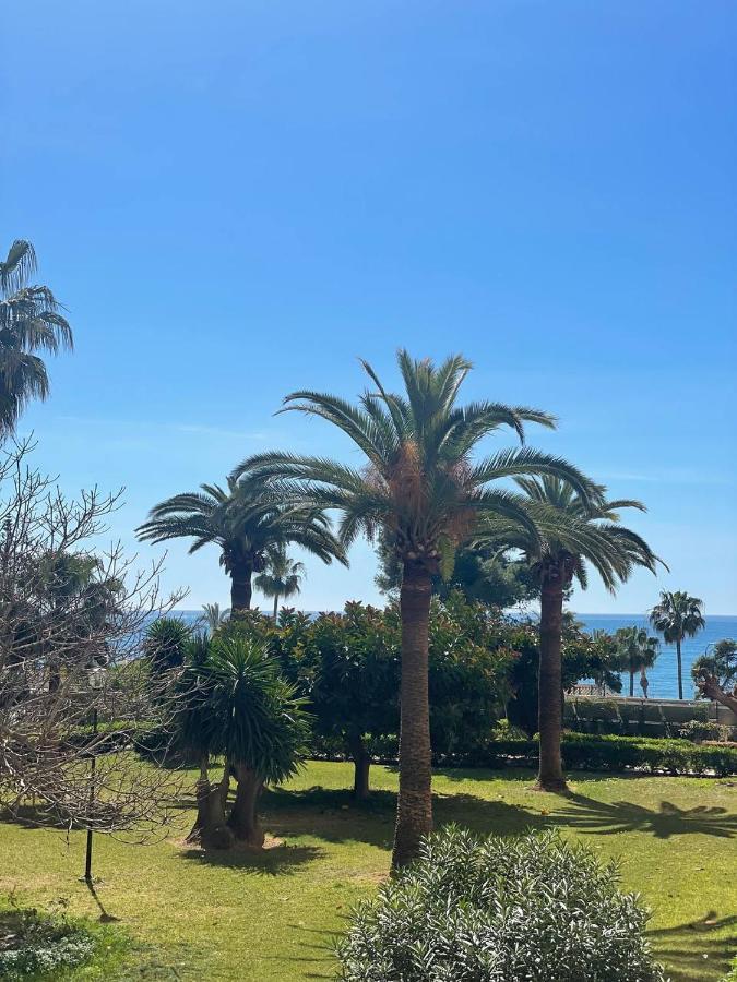 Mango / Estudio Con Piscina!!! Torrox Kültér fotó